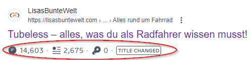 Google Suche zeigt meinen Blogbeitrag über den Tubelessratgeber an.