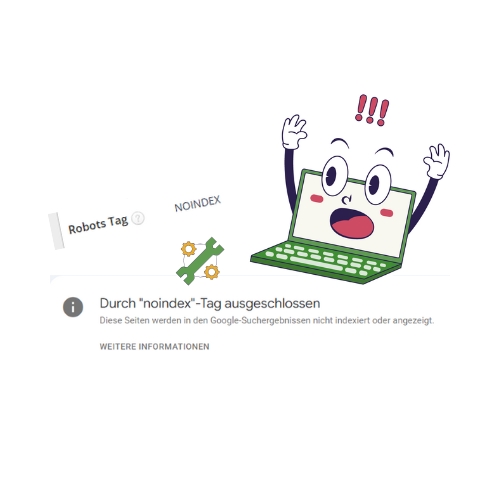 Fehlermeldung aus der Google Search Console: Durch Noindex-Tag ausgeschlossen